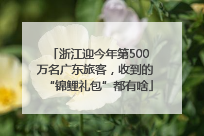 浙江迎今年第500万名广东旅客，收到的“锦鲤礼包”都有啥