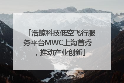 浩鲸科技低空飞行服务平台MWC上海首秀，推动产业创新