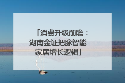 消费升级前瞻：湖南金证把脉智能家居增长逻辑