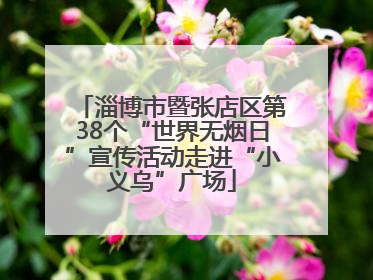 淄博市暨张店区第38个“世界无烟日”宣传活动走进“小义乌”广场