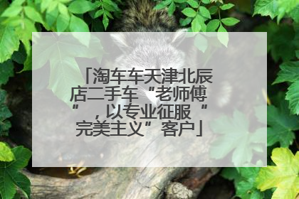 淘车车天津北辰店二手车“老师傅”，以专业征服“完美主义”客户