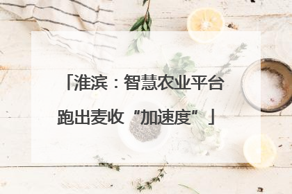 淮滨：智慧农业平台跑出麦收“加速度”