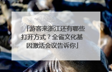 游客来浙江还有哪些打开方式？全省文化基因激活会议告诉你