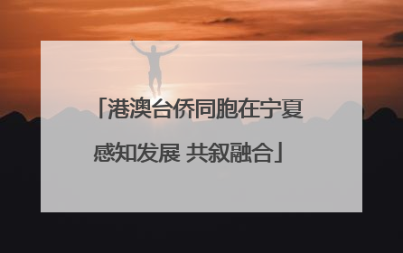 港澳台侨同胞在宁夏感知发展 共叙融合