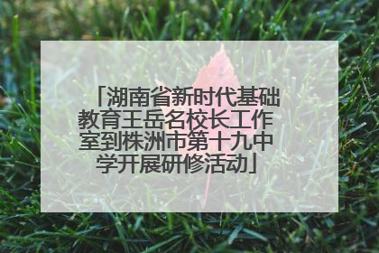 湖南省新时代基础教育王岳名校长工作室到株洲市第十九中学开展研修活动