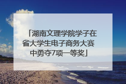 湖南文理学院学子在省大学生电子商务大赛中勇夺7项一等奖