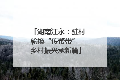 湖南江永：驻村轮换“传帮带” 乡村振兴承新篇