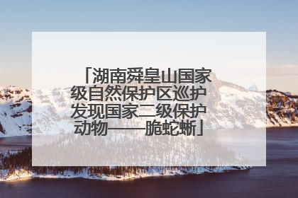 湖南舜皇山国家级自然保护区巡护发现国家二级保护动物——脆蛇蜥
