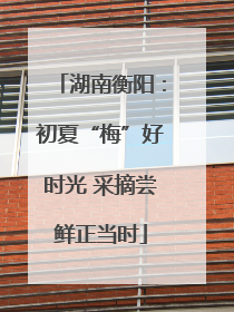 湖南衡阳：初夏“梅”好时光 采摘尝鲜正当时