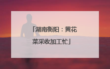 湖南衡阳：黄花菜采收加工忙