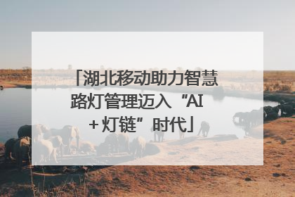 湖北移动助力智慧路灯管理迈入“AI＋灯链”时代