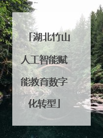 湖北竹山人工智能赋能教育数字化转型