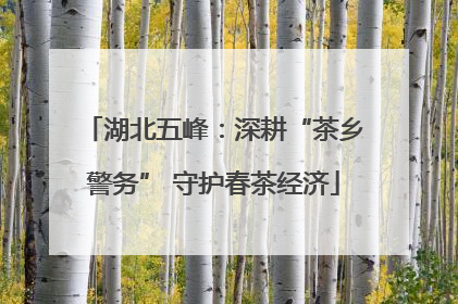 湖北五峰：深耕“茶乡警务” 守护春茶经济