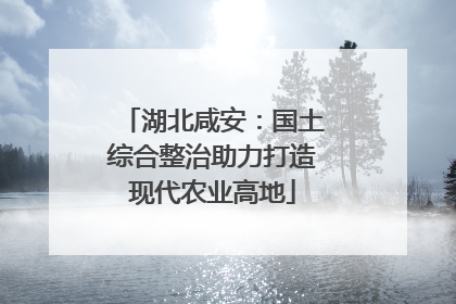 湖北咸安：国土综合整治助力打造现代农业高地