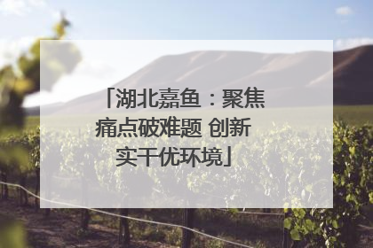 湖北嘉鱼：聚焦痛点破难题 创新实干优环境