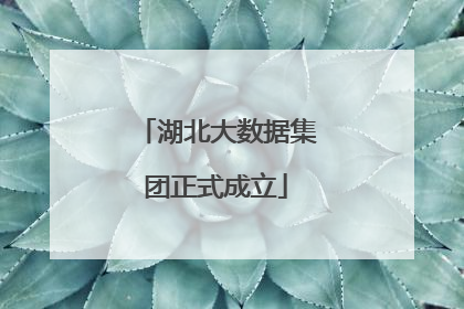 湖北大数据集团正式成立