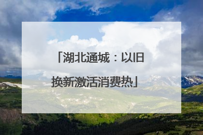 湖北通城：以旧换新激活消费热