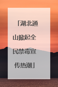 湖北通山掀起全民禁毒宣传热潮