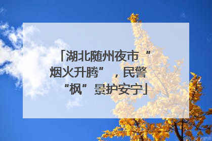 湖北随州夜市“烟火升腾”，民警“枫”景护安宁