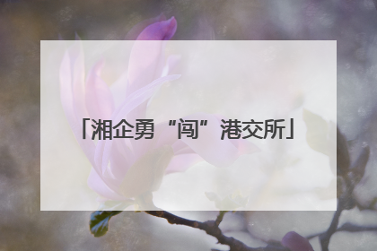 湘企勇“闯”港交所