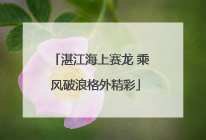 湛江海上赛龙 乘风破浪格外精彩