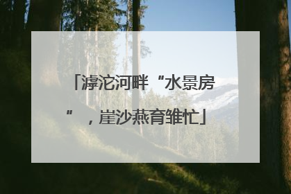 滹沱河畔“水景房”，崖沙燕育雏忙