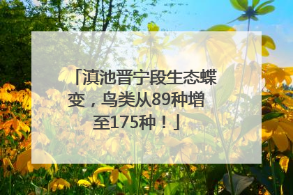滇池晋宁段生态蝶变，鸟类从89种增至175种！