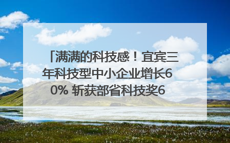 满满的科技感！宜宾三年科技型中小企业增长60% 斩获部省科技奖6项｜您牵挂的四川