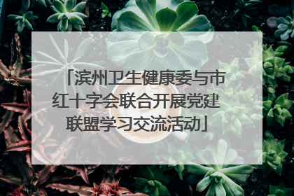滨州卫生健康委与市红十字会联合开展党建联盟学习交流活动