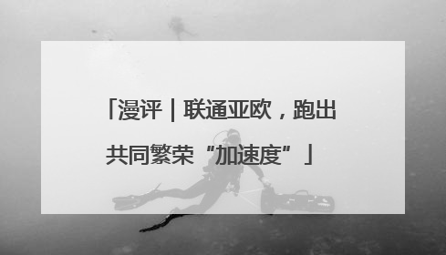 漫评｜联通亚欧，跑出共同繁荣“加速度”