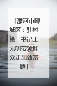 漯河市郾城区：驻村第一书记王元明带领群众走出致富路
