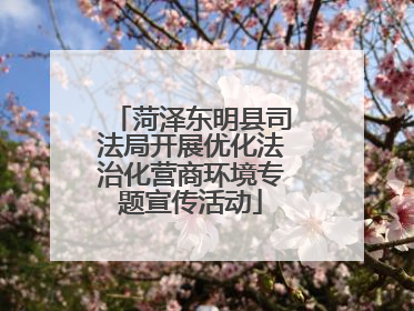 菏泽东明县司法局开展优化法治化营商环境专题宣传活动