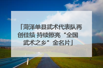 菏泽单县武术代表队再创佳绩 持续擦亮“全国武术之乡”金名片