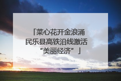 菜心花开金浪涌 民乐县高铁沿线激活“美丽经济”