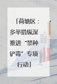 荷塘区：多举措纵深推进“禁种铲毒”专项行动