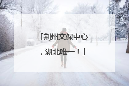 荆州文保中心，湖北唯一！