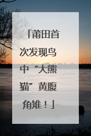 莆田首次发现鸟中“大熊猫”黄腹角雉！
