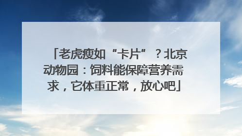 老虎瘦如“卡片”？北京动物园：饲料能保障营养需求，它体重正常，放心吧