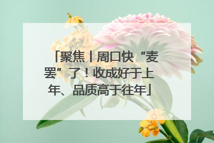 聚焦丨周口快“麦罢”了！收成好于上年、品质高于往年