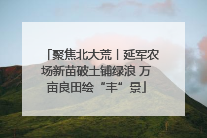 聚焦北大荒丨延军农场新苗破土铺绿浪 万亩良田绘“丰”景