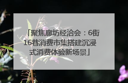 聚焦廊坊经洽会：6街16巷消费市集搭建沉浸式消费体验新场景