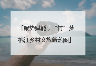 聚势赋能，“竹”梦桃江乡村文旅新蓝图