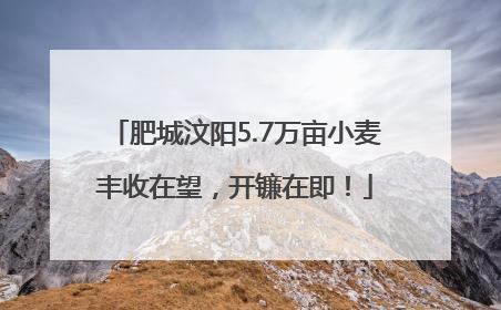 肥城汶阳5.7万亩小麦丰收在望，开镰在即！