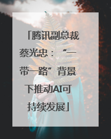 腾讯副总裁蔡光忠：“一带一路”背景下推动AI可持续发展