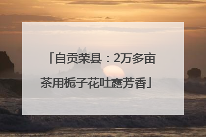 自贡荣县：2万多亩茶用栀子花吐露芳香