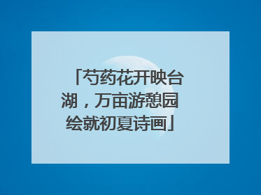 芍药花开映台湖，万亩游憩园绘就初夏诗画