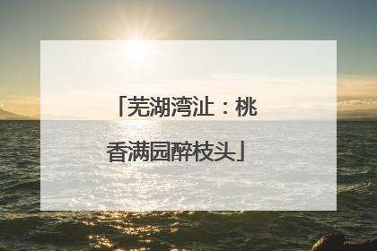 芜湖湾沚：桃香满园醉枝头