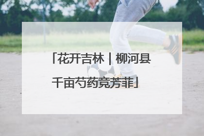 花开吉林｜柳河县千亩芍药竞芳菲