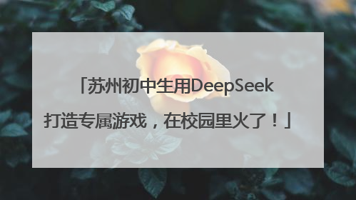 苏州初中生用DeepSeek打造专属游戏，在校园里火了！