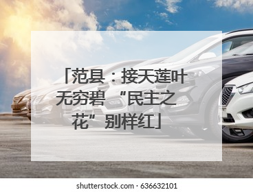 范县：接天莲叶无穷碧 “民主之花”别样红